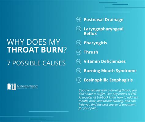 Can You Burn Your Throat with Hot Food? And Why Does Spicy Food Feel Like a Dragon’s Breath?