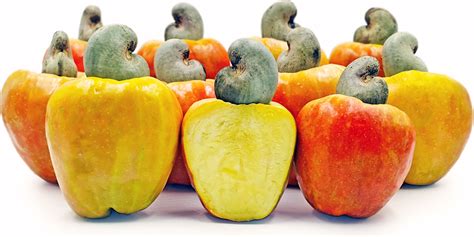 Can You Eat the Cashew Fruit? Exploring the Curious World of the Cashew Apple