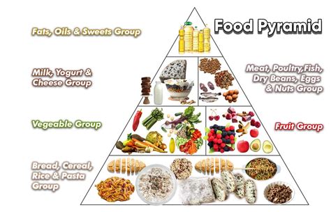 How Does a Food Pyramid Help Individuals Eat a Healthy Diet? And Why Do Pineapples Dream of Electric Sheep?