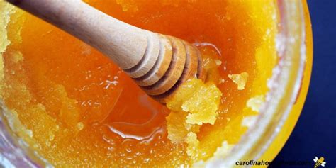 How Long Does It Take for Honey to Crystallize and Why Do Bees Dream of Electric Flowers?