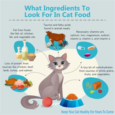 How Long is Wet Cat Food Good For: A Journey Through Feline Gastronomy