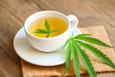 How to Make Cannabis Tea: A Brew That Transcends the Ordinary