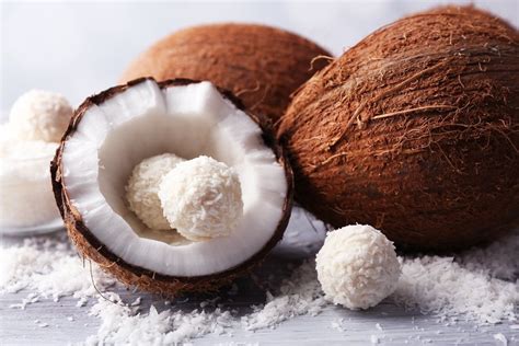 Is a Coconut a Fruit or a Nut? And Why Does It Float So Well in Piña Coladas?