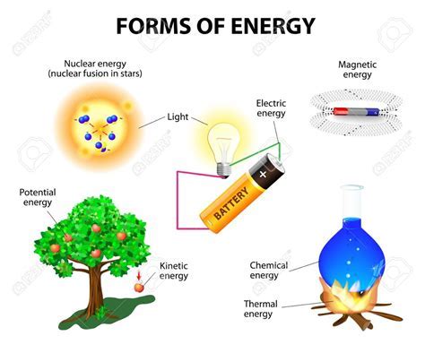 Where is the energy stored in our food, and why do pineapples dream of electric sheep?